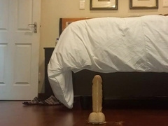 Sissy caboose-to-hatch and PASSPORT card