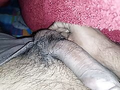 Long panis like monster