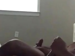 Beautiful black cocks