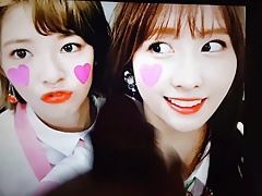 TWICE jeongyeon & momo cum tribute