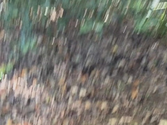 I got caught cruising and he let me shag him