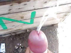 My summer cumshot