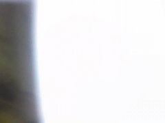 Camper Witnesses B8tor From Via The Parking Bunch