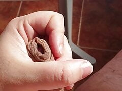 Hammam