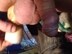 prostate