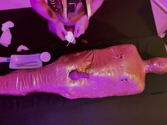 Anubis And The Mummy