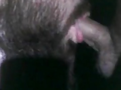 Bear dad deepthroats thick cocked boi