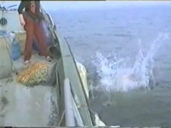 Vintage Bleisch Movie - Die Wette Gay Teen Porn