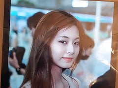 Tzuyu cum tribute #2
