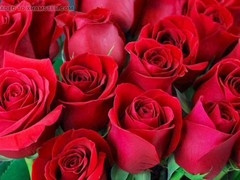 Bangladeshi, ai, hd videos