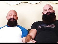 Bears lovers