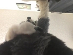 Fursuit sex 37