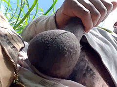 Queer, public, woodland