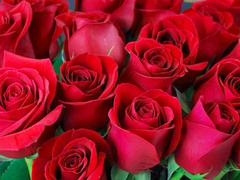 Mature Bangladeshi guy gets it on in gay scenes