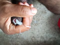 Black masturbation 1