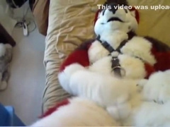 Fursuit sex 67