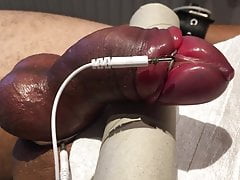 Subject L2's pumped cock getting its first estim treatment