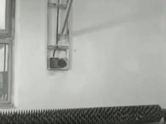 prisoners need fuck