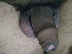 Indian Penis