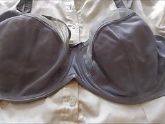 hofredo cums on her nylon bra