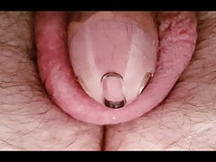 Prostate Milking 15 - 12th September 2020