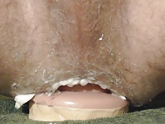 hungry ass