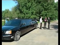 Cock Sucking In Limo