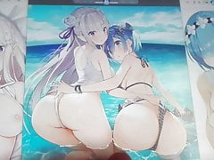 Emilia Rem SoP