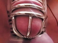 Dripping precum in electro chastity