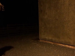 sissy [censored] cathy goes outside 2