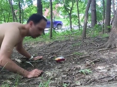 pupbalto naked close to a road, eating like a dog a pissing himself