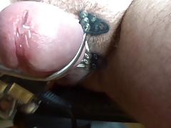 new cumming by engine
