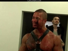 A exclusive vignette of STAG TV