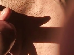 Beautiful Cock