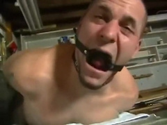 Hogtied Muscle Stud