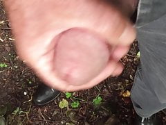 Outdoor public cock wank