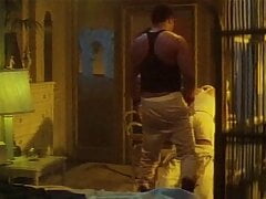 FILM ART - QUERELLE 1982