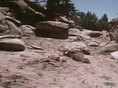 Sailor In The Wild