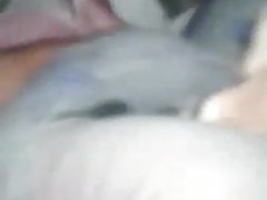 Crossdresser rubbing her cock