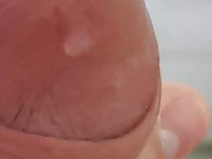 Morning precum without erection