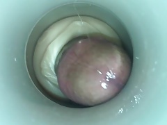 Horny Cock by cum cam man
