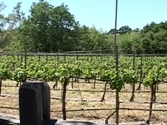 Exotic male pornstars Jason Ridge and Damian Rios in hottest masturbation, swallow gay xxx clip