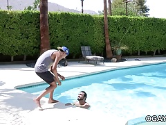 Pool Daddy