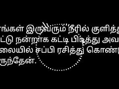 Tamil Hot Story Audio Of Aunty
