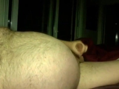 Silver Daddy Bear 6