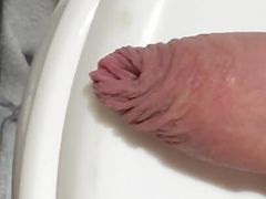 Macro Sweet Dick