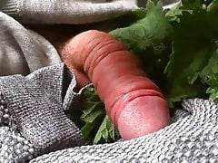 Lockdown Nettles on cock Part 3