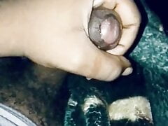 Cumin (slow motion)