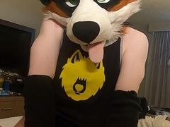 ManedStripes wears AngryBarks