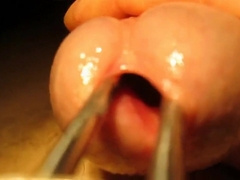 Urethral sounding and stretching with cumshot